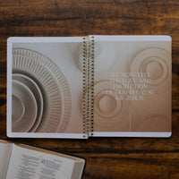Eden to Eternity | Spiral Volume 2 Bible Study