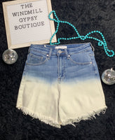 Becky High Rise Two Tone Shorts