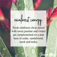 Rainforest Canopy Large Breakaway Soy Melts