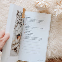 Fix Your Focus - A 52-Week Guide to Help You Put God First
