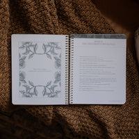 A Year in the Bible | Volume 1 Bible Study
