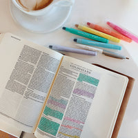 Pastel Bible Highlighter Set
