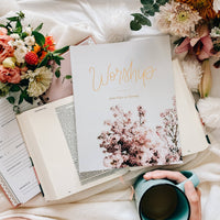 Worship Bible Study
