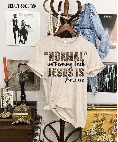 “Normal” isn’t coming back Jesus is preorder